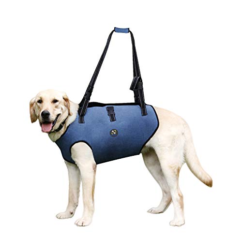 Coodeo Hundegeschirr, Hebegurt für Haustiere, Unterstützung und Rehabilitation, verstellbare, gepolsterte, atmungsaktive Gurte für alte, behinderte, Gelenkverletzungen (Blau, XL) von COODEO