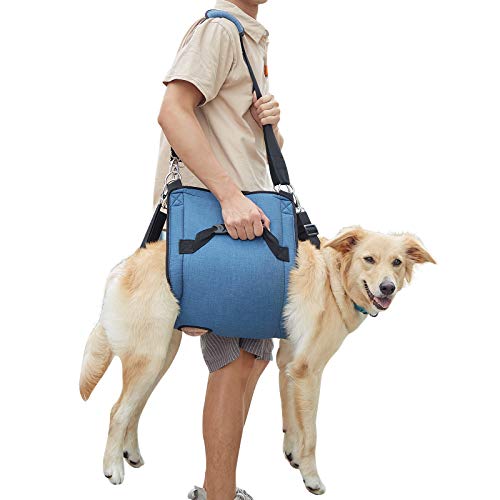 Coodeo Hundetragegurt, Notfallrucksack Haustierbeine Unterstützung & Rehabilitation Hundeliftgeschirr zum Krallenkürzen, Hundetragegurt für Gelenkverletzungen älterer Hunde, (XL, Blau) von COODEO