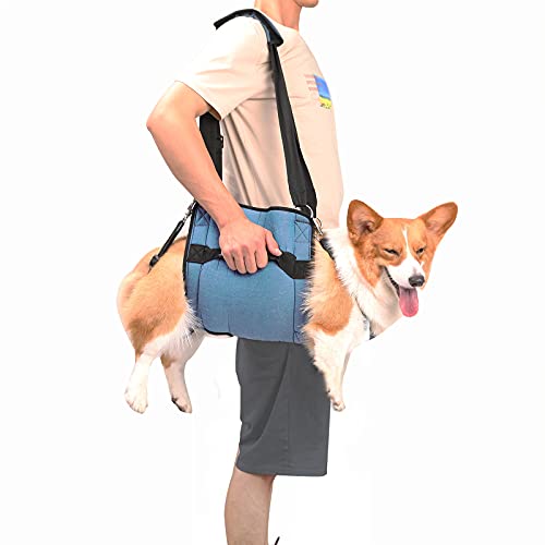 Coodeo Hundetragegurt, Notfallrucksack Unterstützung für Rehabilitation Hundelift Geschirr, Hundeträger für ältere Hunde Gelenkverletzungen, Arthritis, Treppe hinauf (L, Blau) von COODEO