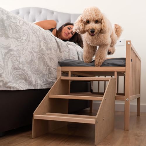 COOL · DREAMS Faunatic CoolDreams Bett für Hunde, Katzen, Haustiere, erhöht, aus Holz, mit Treppenstufe, wasserdicht, Schaumstoff-Matratze + Bezug COOL · DREAMS Faunatic CoolDreams Bett für Hunde, Katzen, Haustiere, erhöht, aus Holz, mit Treppenstufe, wasserdicht, Schaumstoff-Matratze + Bezug von COOL · DREAMS