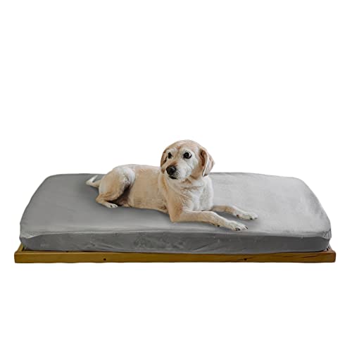 COOL · DREAMS Haustierbett Throne mit Morpheu-Matte und wasserdichter Matratzenschoner für CoolDreams COOL · DREAMS Haustierbett Throne mit Morpheu-Matte und wasserdichter Matratzenschoner für CoolDreams von COOL · DREAMS