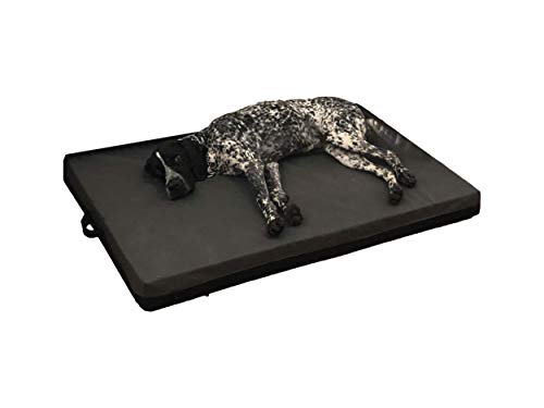 COOL PET Hundematratzen 10cm Dicke Orthopädische Kaltschaumplatte (Memory Foam), Oxford 600D Textilie mit PVC-Anstrich, Größe 3XL und Farbe lila von COOL PET
