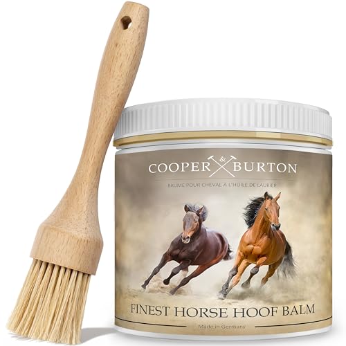 COOPER & BURTON Hufbalsam für Pferde | Hufpflege mit natürlichen Ölen für gesunde Hufe 500ml + Pinsel | Fördert Hufwachstum & schützt vor Rissen | Intensive Feuchtigkeit für Pferdehufe COOPER & BURTON Hufbalsam für Pferde | Hufpflege mit natürlichen Ölen für gesunde Hufe 500ml + Pinsel | Fördert Hufwachstum & schützt vor Rissen | Intensive Feuchtigkeit für Pferdehufe von COOPER & BURTON