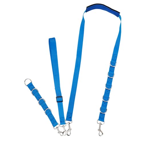 COOPHYA 3 Stück Teiliges Haustier Pflegegurt Strapazierfähige Hundepflegeleine rutschfeste Hundetraining Leine für Kleine Hunde Sicherer Hundehalt für Grooming Tisch Blau von COOPHYA
