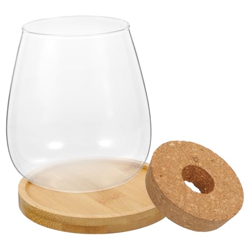 COOPHYA Glas Sukkulenten Vase Transparente Vasen Für Blumenarrangements Bücheregal Dekor Kerzenhalter Aus Klarem Glas Blumentöpfe Für Grüne Pflanzen von COOPHYA