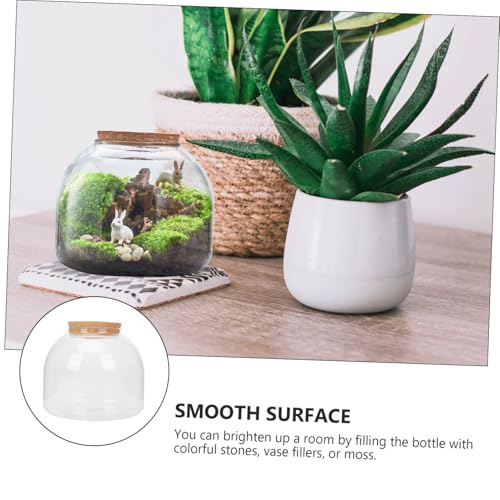 COOPHYA Transparent Glas Terrarium Ecological Bottle DIY Mikrolandschaft mit Moos für Wohnzimmer Bürodekoration Klar Sichtbar Kreatives Pflanzgefäß mit Holzverschluss von COOPHYA
