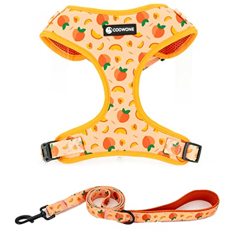COOWONE Hundegeschirr und Leine Set, Verstellbares Hundegeschirr, Hundeleine (Pfirsiche, M) von COOWONE