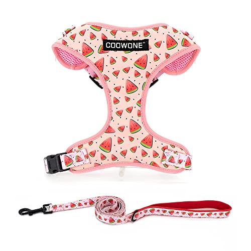 COOWONE Hundegeschirr und Leine Set, Verstellbares Hundegeschirr, Hundeleine (Wassermelone, L) von COOWONE