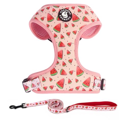 COOWONE Hundegeschirr und Leine Set, Verstellbares Hundegeschirr, Hundeleine (Wassermelone, S) von COOWONE