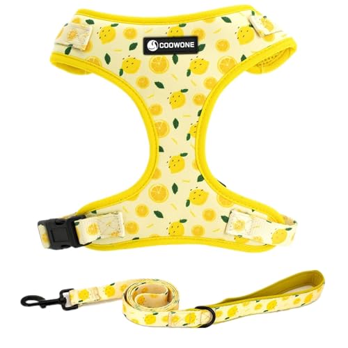 COOWONE Hundegeschirr und Leine Set, Verstellbares Hundegeschirr, Hundeleine (Zitrone, L) von COOWONE