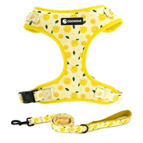 COOWONE Hundegeschirr und Leine Set, Verstellbares Hundegeschirr, Hundeleine (Zitrone, XS) von COOWONE
