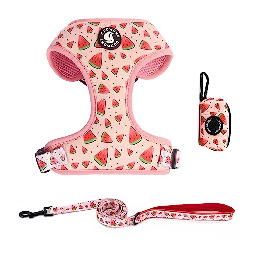 Hundegeschirr und Leine, Kotbeutelhalter, 3 Sets, Easy Walk No Pull Verstellbares Welpen-Katzen-Westengeschirr mit weichem Netz-Polsterung, Haustierzubehör für extrakleine/kleine/mittelgroße Hunde, Hundegeschirr und Leine, Kotbeutelhalter, 3 Sets, Easy Walk No Pull Verstellbares Welpen-Katzen-Westengeschirr mit weichem Netz-Polsterung, Haustierzubehör für extrakleine/kleine/mittelgroße Hunde, von COOWONE