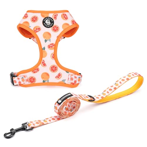 Puppia Hundegeschirr und Leine, weiches Netzgewebe, gepolstert und verstellbar, Welpenweste, niedliche Hundekleidung, ausbruchsicher, leicht zu laufen, Haustierzubehör (Grapefruit, Größe S (Halsumfang von COOWONE