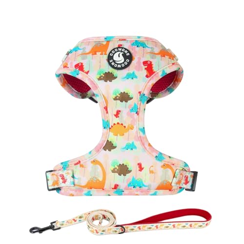 Verstellbares Hundegeschirr und Leine, Set für Mädchen, Air-Mesh-Hundeweste, 152 cm, Hundetrainingsleine mit weichem Griff, ausbruchsicher für kleine, mittelgroße und große Hunde (Dinosaurier, S) von COOWONE