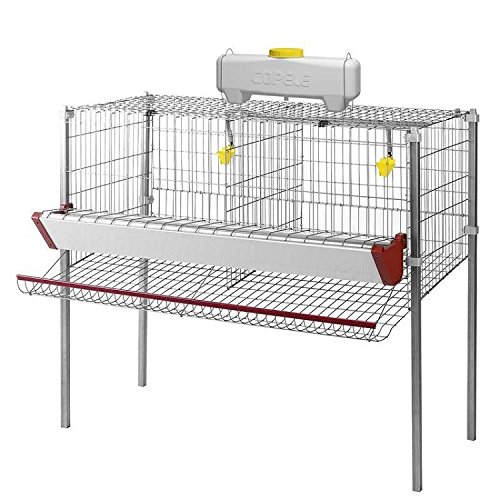 COPELE 30702 Akku für 2 Abteilungen von COPELE