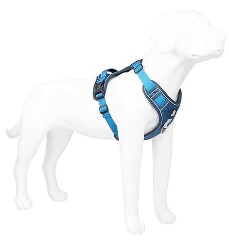CORGIOLOGY | HT-517 | Hundegeschirr für alle Hunde, Brustgeschirr. Mesh-Gewebe. atmungsaktives Gewebe. Reflektierender Streifen. Für Alle Hunde geeignet, 4 Farben verfügbar. (L, BLAU) von CORGIOLOGY