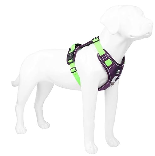 CORGIOLOGY | HT-517 | Hundegeschirr für alle Hunde, Brustgeschirr. Mesh-Gewebe. atmungsaktives Gewebe. Reflektierender Streifen. Für Alle Hunde geeignet, 4 Farben verfügbar. (L, LILA-GRÜN) von CORGIOLOGY
