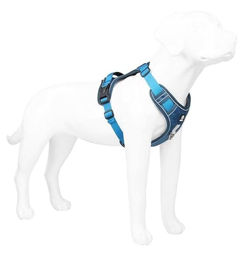 CORGIOLOGY | HT-517 | Hundegeschirr für alle Hunde, Brustgeschirr. Mesh-Gewebe. atmungsaktives Gewebe. Reflektierender Streifen. Für Alle Hunde geeignet, 4 Farben verfügbar. (S, BLAU) von CORGIOLOGY