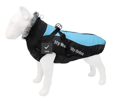 CORGIOLOGY | HT-683 | Hundemantel für alle Hunde, Fashion, Hunde Wintermantel, Hundejacke für alle Hunde geeignet, 5 Farben verfügbar (4XL, BLAU) von CORGIOLOGY