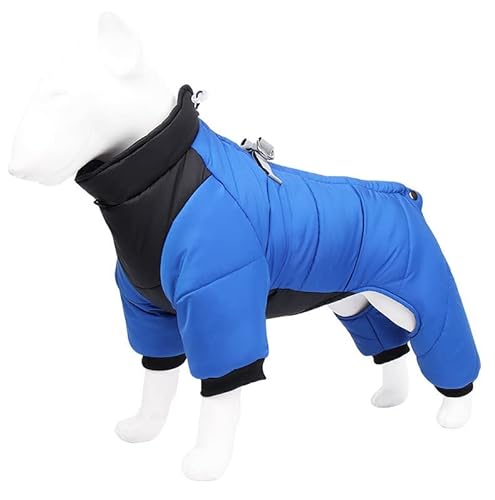 CORGIOLOGY | HT-685 | Hundemantel für alle Hunde, Fashion, Hunde Wintermantel, Hundejacke für alle Hunde geeignet, 4 Farben verfügbar (2XL, BLAU) von CORGIOLOGY