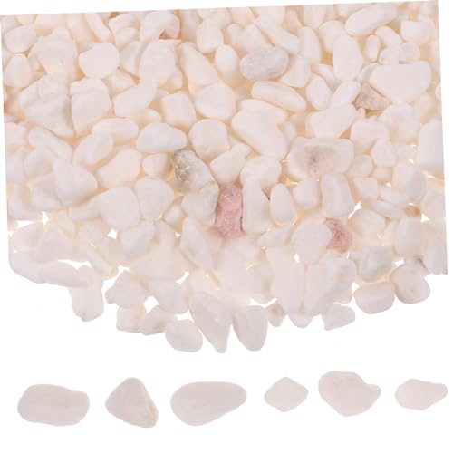 CORHAD Aquarium S Kompatibel 500g Packung Steine Dekorative Garten und Fisch Tank Kies CORHAD Aquarium S Kompatibel 500g Packung Steine Dekorative Garten und Fisch Tank Kies von CORHAD