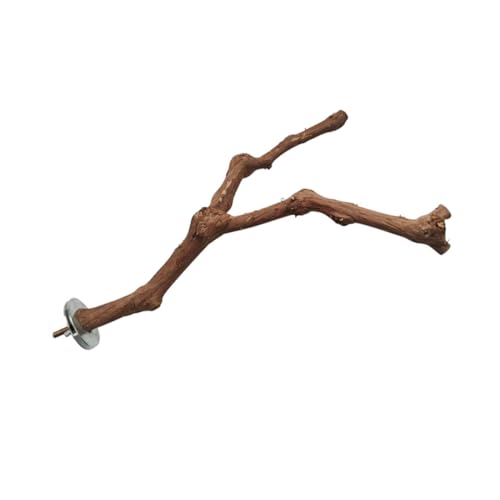 CORHAD Papagei Vogelstation Stange Traubenholz Käfig Sitzstange Kauspielzeug Für Haustier-Training Und Langeweile Relief CORHAD Papagei Vogelstation Stange Traubenholz Käfig Sitzstange Kauspielzeug Für Haustier-Training Und Langeweile Relief von CORHAD