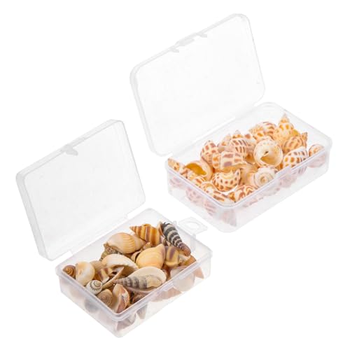 CORHAD 2 Boxen Natürliche Meeresschnecken Muschel Dekoration für Aquarium Fischaquarium Deko DIY Füllmaterial Natürlicher Schutz für Krabben Micro Landschaftsbau Zubehör von CORHAD