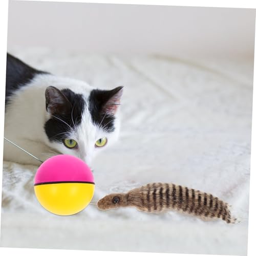 CORHAD 2 Stück Elektrisches Kugelspielzeug für Katzen und Welpen Motorisierter Leichter Kunststoff Rollender Ball Batteriefrei Interaktives Badspielzeug für Haustiere Zufällige Farbe von CORHAD