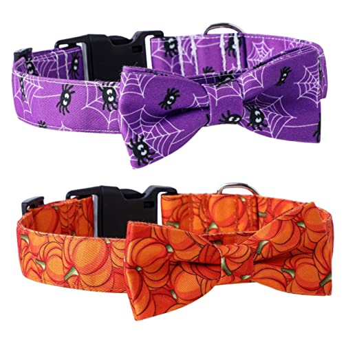 CORHAD Halloween-Hundehalsband-Set Haustier-Halloween-Halsgürtel Kürbis-Spinnen- weiches Baumwoll-Polyester-Halsband mit Schleife für den Alltag oder Festivals CORHAD Halloween-Hundehalsband-Set Haustier-Halloween-Halsgürtel Kürbis-Spinnen- weiches Baumwoll-Polyester-Halsband mit Schleife für den Alltag oder Festivals von CORHAD
