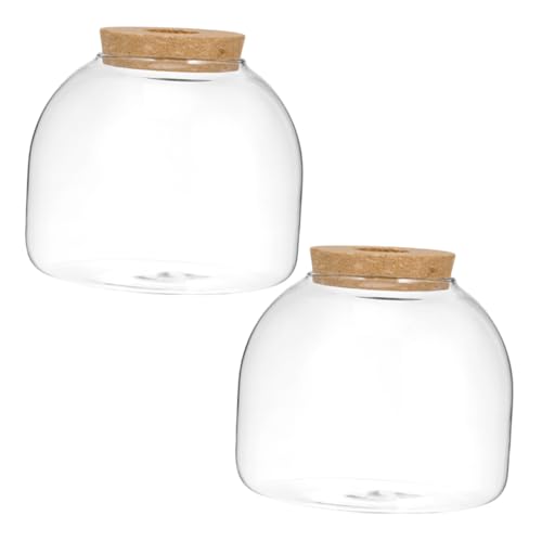 CORHAD Glasflasche Terrarium Glasgefäß Für Pflanzen Mikrolandschaft DIY Sukkulenten Pflanze Glasbehälter Für Aquarien Und Dekoration CORHAD Glasflasche Terrarium Glasgefäß Für Pflanzen Mikrolandschaft DIY Sukkulenten Pflanze Glasbehälter Für Aquarien Und Dekoration von CORHAD