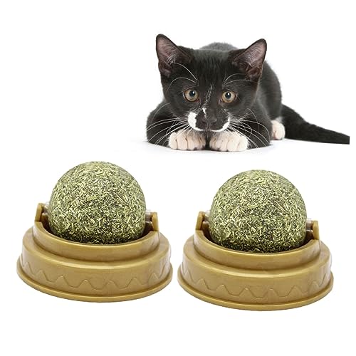 CORHAD 4 Stück Katzenbissball Katzenminzekugeln für Katzen Verdauungsförderer für Katzen Haustier Spielen Catnip Katzen minzekissen Katze behandelt Minzkugel Katze leckt Ball Green CORHAD 4 Stück Katzenbissball Katzenminzekugeln für Katzen Verdauungsförderer für Katzen Haustier Spielen Catnip Katzen minzekissen Katze behandelt Minzkugel Katze leckt Ball Green von CORHAD