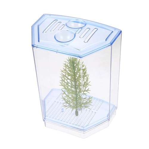 CORHAD Aquarium Kunststoff Mini Aquarium Behälter Elegante Dekoration für Schreibtisch Hochzeit Handwerk Tafelaufsätze CORHAD Aquarium Kunststoff Mini Aquarium Behälter Elegante Dekoration für Schreibtisch Hochzeit Handwerk Tafelaufsätze von CORHAD