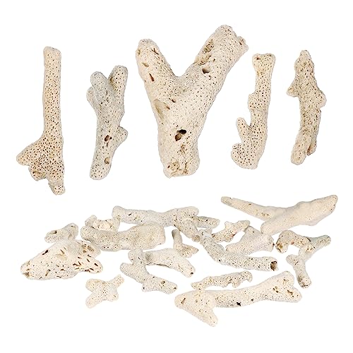 CORHAD Dekorative Aquariensteine 3 500 g Aquarium Filtermaterial Zufälligen Farben Ideal Für Die Gestaltung Und Filterung Fisch Tanks Natürliche Aquarien Dekoration CORHAD Dekorative Aquariensteine 3 500 g Aquarium Filtermaterial Zufälligen Farben Ideal Für Die Gestaltung Und Filterung Fisch Tanks Natürliche Aquarien Dekoration von CORHAD