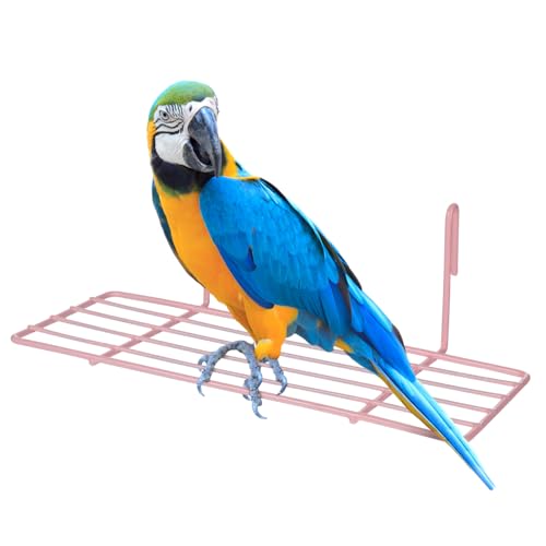 CORHAD Papagei Vogel Barsch Plattform Stehen Eisen Rahmen Gitter Robust Einfache Installation Für Haustiere CORHAD Papagei Vogel Barsch Plattform Stehen Eisen Rahmen Gitter Robust Einfache Installation Für Haustiere von CORHAD
