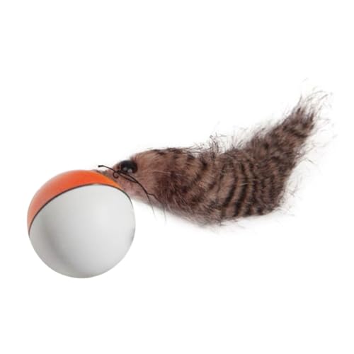 CORHAD Elektrischer Spielball für Katzen und Kleine Hunde Motorisiertes Leichtes Plastikspielzeug Rollender Haustier Ball in Zufälliger Farbe Batteriebetrieben Zufällige CORHAD Elektrischer Spielball für Katzen und Kleine Hunde Motorisiertes Leichtes Plastikspielzeug Rollender Haustier Ball in Zufälliger Farbe Batteriebetrieben Zufällige von CORHAD