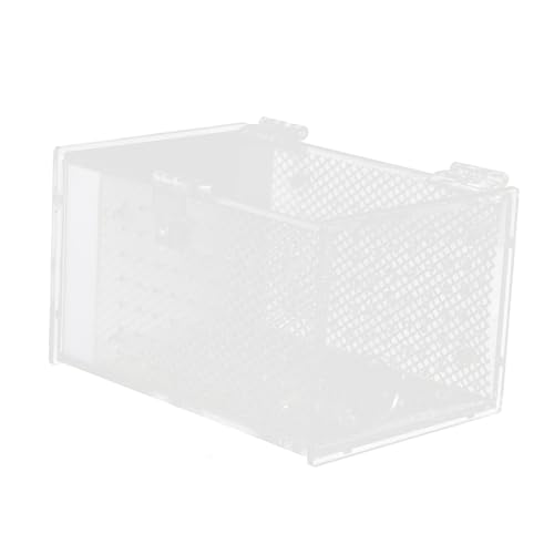 CORHAD Fütterungsbox für Gottesanbeterin Reptil Zuchtkasten mit Belüftung Leicht und Transparent zur Beobachtung und Pflege von Insekten und Kleintieren von CORHAD