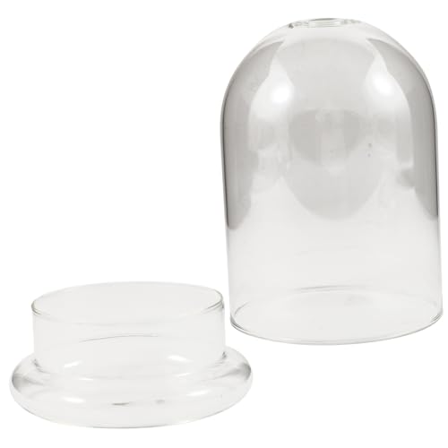 CORHAD Glas Terrarium Tisch dekoflasche Klarglas Mikro Landschaft DIY Ökoflasche mit Bell Jar Dome für Pflanzen und Moos Dekorativer Pflanzbehälter Robust und Transparent CORHAD Glas Terrarium Tisch dekoflasche Klarglas Mikro Landschaft DIY Ökoflasche mit Bell Jar Dome für Pflanzen und Moos Dekorativer Pflanzbehälter Robust und Transparent von CORHAD