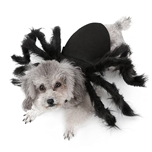CORHAD Hundepullover Für Hunde Stoff Haustierkleidung Hundeparty-Outfit Halloween-kostüm Für Welpen Und Kätzchen Größe S CORHAD Hundepullover Für Hunde Stoff Haustierkleidung Hundeparty-Outfit Halloween-kostüm Für Welpen Und Kätzchen Größe S von CORHAD