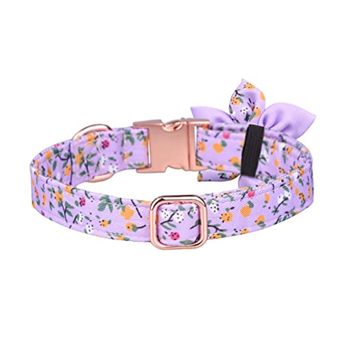 CORHAD Verstellbares Hundehalsband Mit Abnehmbares Halsband Katzenhalsband Welpenhalsband Roségold-Clip Festliches Und Elegantes Design von CORHAD