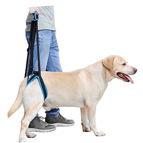 CORHAD XL Pet Leg Straps Unterstützungsgurt Für Hunde Mit Behinderungen Bequeme Und Weiche Gehhilfe Für Ältere Oder Verletzte Tiere Einfach Zu Handhaben Für CORHAD XL Pet Leg Straps Unterstützungsgurt Für Hunde Mit Behinderungen Bequeme Und Weiche Gehhilfe Für Ältere Oder Verletzte Tiere Einfach Zu Handhaben Für von CORHAD