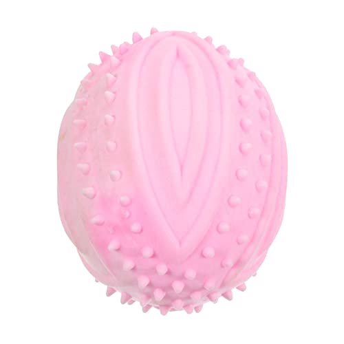 CORHAD Quietschball für Hunde Gummiball zum Kauen Quietschspielzeug für Hunde Welpen Quietschspielzeug Aktivspielzeug für Hunde im Freien CORHAD Quietschball für Hunde Gummiball zum Kauen Quietschspielzeug für Hunde Welpen Quietschspielzeug Aktivspielzeug für Hunde im Freien von CORHAD