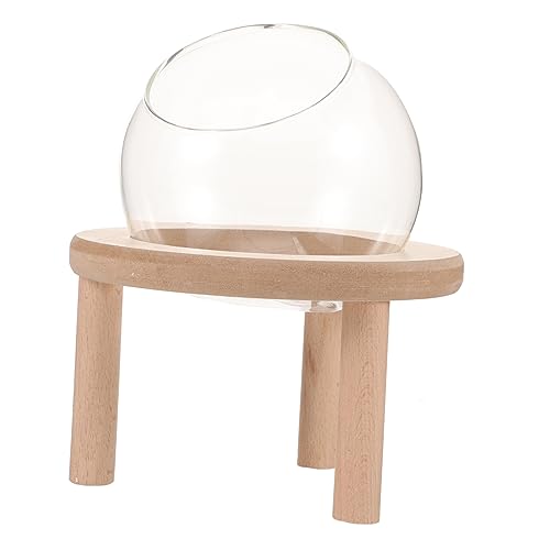 CORHAD Kleines Sandbad Für Hamster Transparente Badewanne Mit Holzunterlage Vielseitig Einsetzbar Als Toilette Oder Sandbad Leicht Zu Reinigen Geeignet Für Kleine Haustiere Wie Hamster von CORHAD