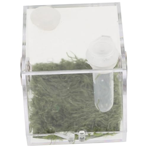 CORHAD Transparentes Kleines Aufzuchtbecken aus für Springspinnen und Reptilien Insekten Fütterungsbox mit Hoher Sichtbarkeit Vielseitiges Terrarium für Krabbeltiere und Kleine Haustiere von CORHAD