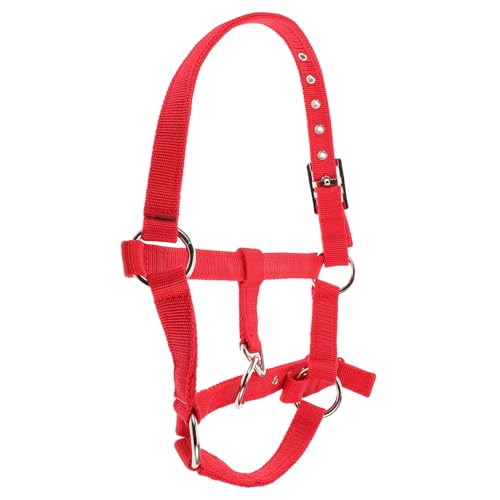 CORHAD Verstellbares Breakaway Horse Neckter Und Seil Für Kinder -reitausbildung, Die Für Das Komfort -nylonmaterial Für Langfristig Dauerhaften Gebrauch Gepolstert Sind von CORHAD