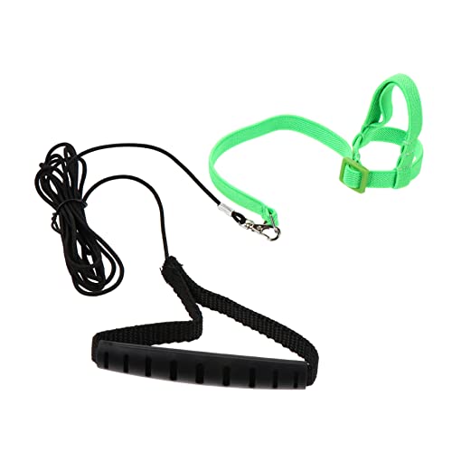 CORHAD Papagei Release Seil Vogel Leine Haustier Schleppseil Für Outdoor Vogel Training Fluoreszierend Grün CORHAD Papagei Release Seil Vogel Leine Haustier Schleppseil Für Outdoor Vogel Training Fluoreszierend Grün von CORHAD