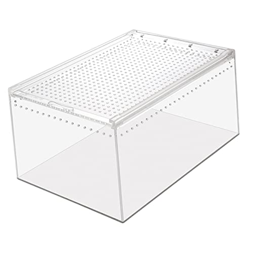 CORHAD Insektenkäfig Futterbox Für Reptilien Gehege Für Vogelspinne Gehege Für Insekten Kleiner Inkubator Kreativer Inkubator Reptilienversteck Reptilienzuchtkäfig Spinnenfutterbehälter Gehäuse von CORHAD