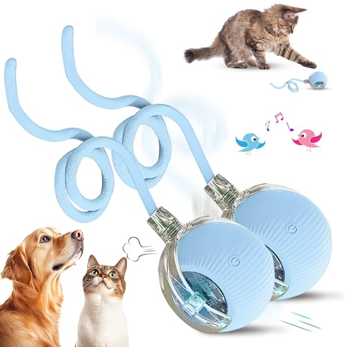 Chewie Rolling Ball, 2025 Katzenspielzeug Elektrisch, Katzenspielzeug Selbstbeschäftigung Interaktives Katzen Spielzeug Elektrisches Automatisches Katzen Spielzeug Rollender Ball (BLAU*2) von COSEN
