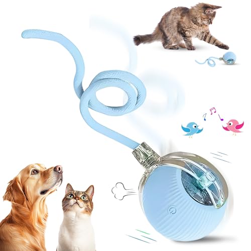 Chewie Rolling Ball, 2025 Katzenspielzeug Elektrisch, Katzenspielzeug Selbstbeschäftigung Interaktives Katzen Spielzeug Elektrisches Automatisches Katzen Spielzeug Rollender Ball (Blau) von COSEN