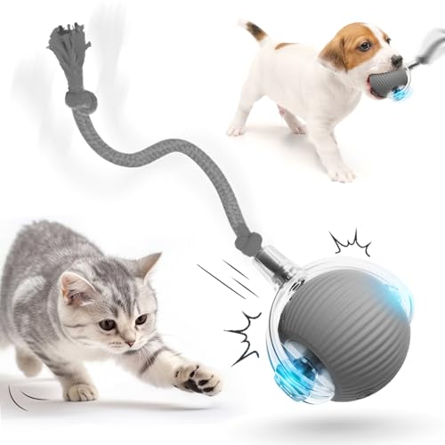 Chewie Rolling Ball, 2025 Katzenspielzeug Elektrisch, Katzenspielzeug Selbstbeschäftigung Interaktives Katzen Spielzeug Elektrisches Automatisches Katzen Spielzeug Rollender Ball (GRAU*2) von COSEN