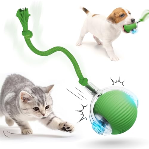 Chewie Rolling Ball, 2025 Katzenspielzeug Elektrisch, Katzenspielzeug Selbstbeschäftigung Interaktives Katzen Spielzeug Elektrisches Automatisches Katzen Spielzeug Rollender Ball (Grün*2) von COSEN